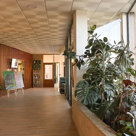 Hotel Quinta Da Seixeda *