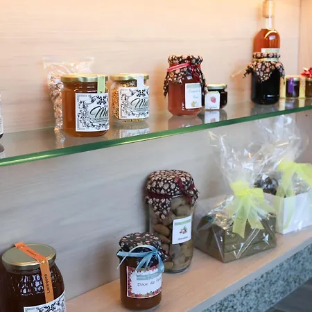 酒店 Quinta Da Seixeda Alijó